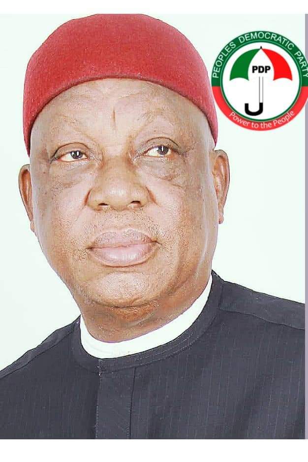 Appeal court declares PDP's Martins Oke Winner