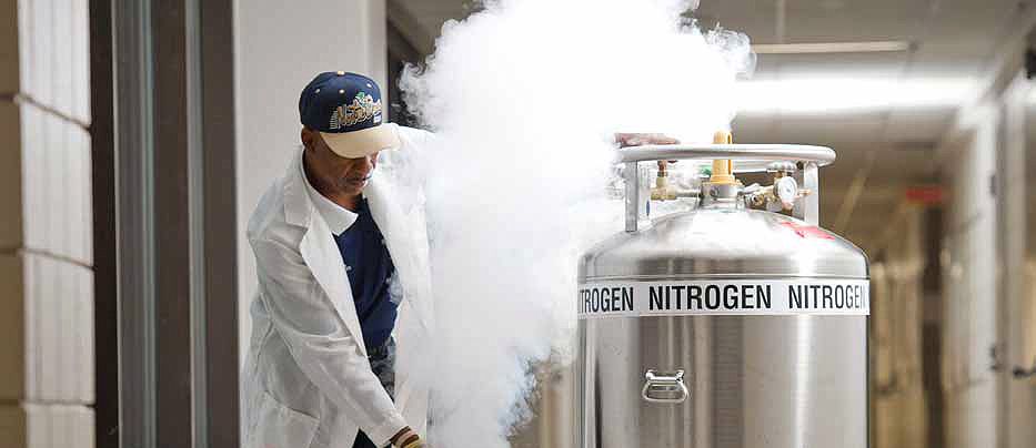 Nitrogen Gas Execution