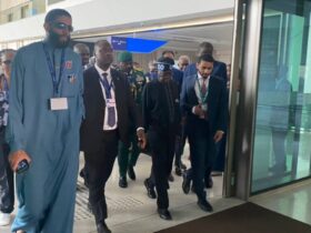 How Nigeria, the world’s 165th GDP per capita packed the 3rd highest delegates to Dubai COP28.