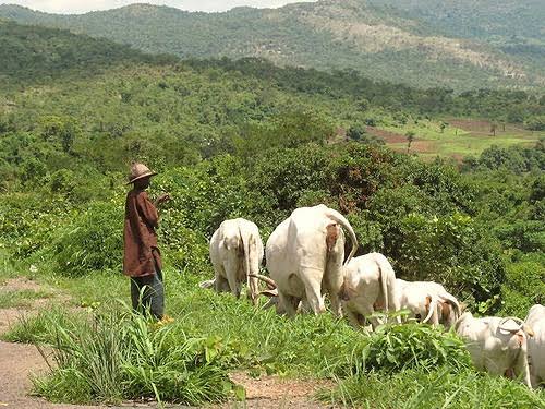 Ekiti