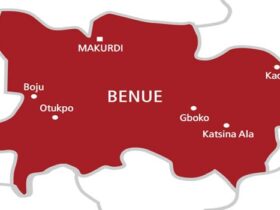 NAPTIP bursts Benue syndicate, rescue 5 children, arrest 80-yr-old woman