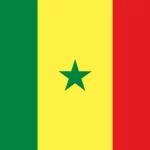 Senegalese President Postpones February 25 Presidential Election Indefinitely
