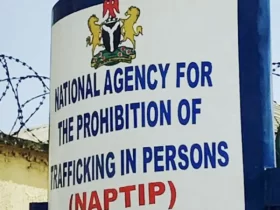 NAPTIP Bursts Benue Syndicate, Rescues 5 Children, Arrests 80-yr-old Woman