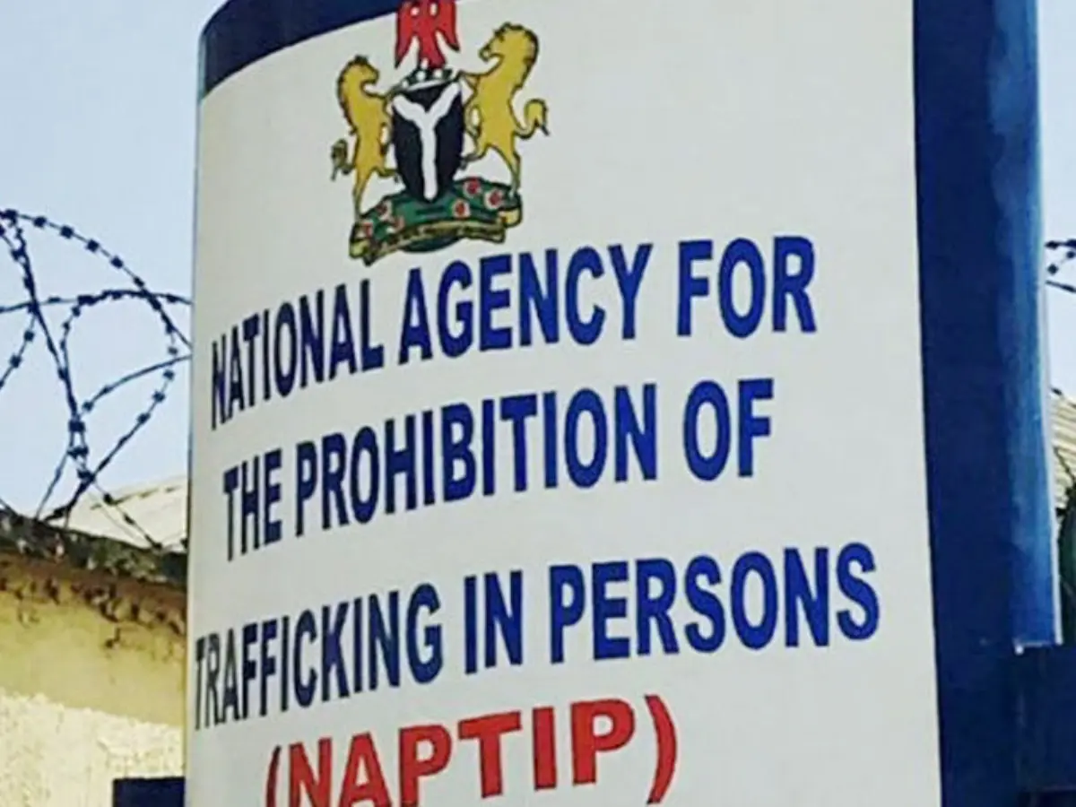 NAPTIP Bursts Benue Syndicate, Rescues 5 Children, Arrests 80-yr-old Woman