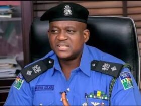 Paying Of Ransom To Kidnappers Is Criminal Offence — Police PRO (Video)