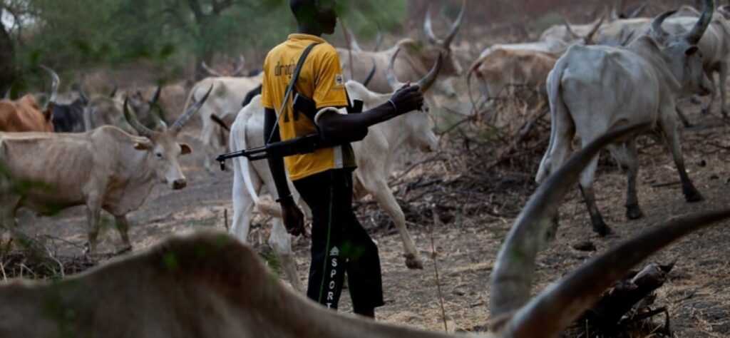 Benue State Attacks 