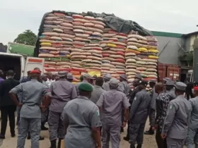 Customs Seize Four Trucks of Food Items in Kano Amidst Hunger Crisis