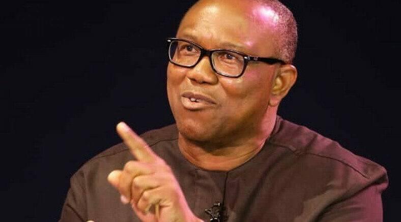 Focus on Building New Nigeria, Not Allow Minor Issues Distract Us - Peter Obi Speaks on Abure Saga