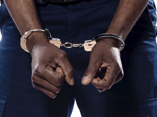 Police Apprehend 23-Year-Old Man for Stealing 23 Cows in Gombe