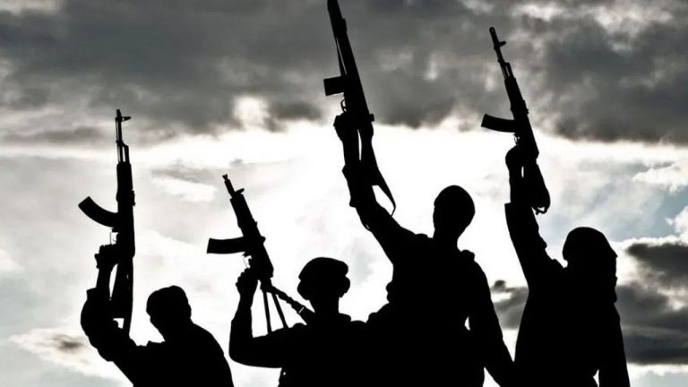 Terrorist Kidnap Two Village Head, Kills Vigilante, Others in Kaduna