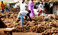 Nigerians Not Patronising Us Anymore —Abuja Yam Sellers Lament As Prices Soars To Over 400% In One Year