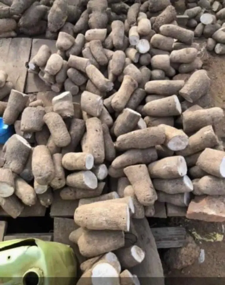 Nigerians Buying Yam in Pieces Amid Soaring Food Prices Under Tinubu’s Govt