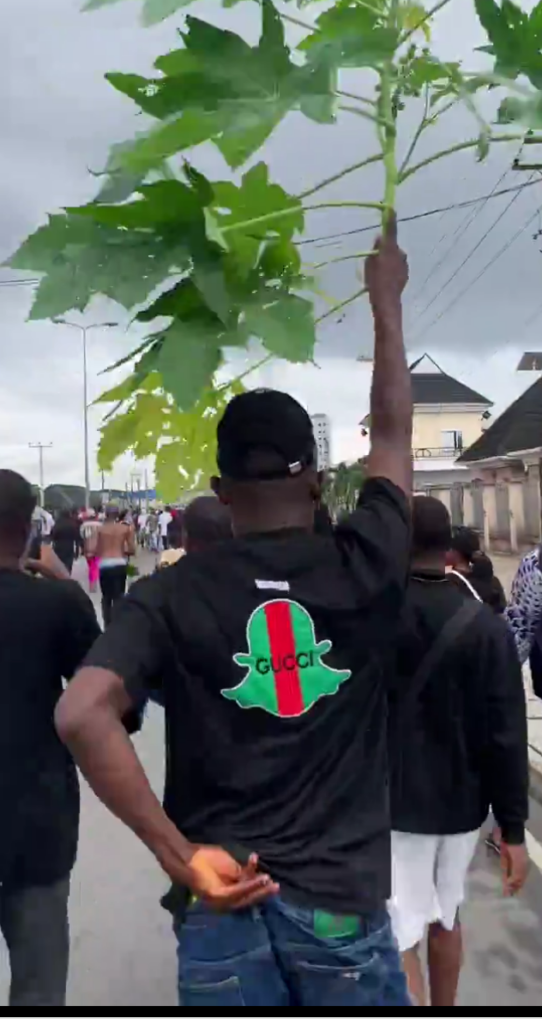 Protesters Storm NNDC Office In Port Harcourt