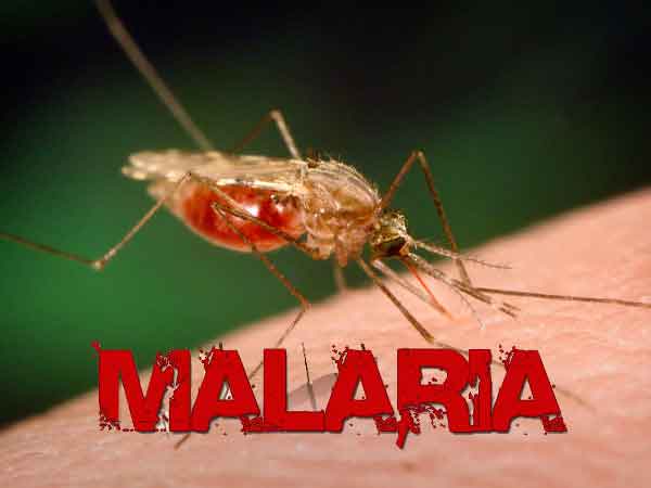 Tinubu Government Inaugurates Malaria Council, Appoints Dangote, Otedola, Elumelu as Leaders