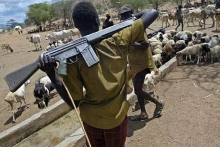 Emir of Zazzau, Bamali — Fulani are Best Educated People in Nigeria; Use of AK-47 Not Part of Our Core Values