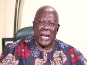 Nigerians Are Hungry and Angry; Everybody Suffering Anti-People Policies of Your Govt—Bode George Knocks Tinubu