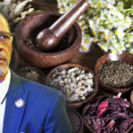 Lagos Health Commissioner Akin Abayomi and Herbs