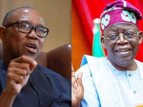 Peter Obi and Bola Tinubu