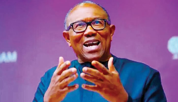 Education Remains Most Valuable Investment for Any country — Peter Obi