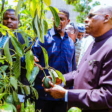 Nigeria Intends to Tackle Climate Change by Planting 20 Billion Trees Next Rainy Season—Shettima
