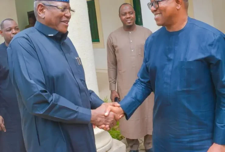 Sule Lamido and Peter Obi. Credit: Daily Post