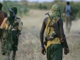 Catholic Laity fights against Christians Genocide