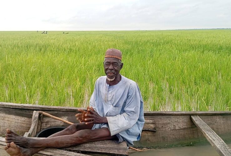A devastated farmer sits in a canoe over a rice farm destroyed by floodwaters in Kebbi. Credit: CTV