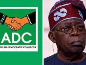 ADC and Bola Tinubu