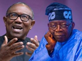 Peter Obi and Bola Tinubu