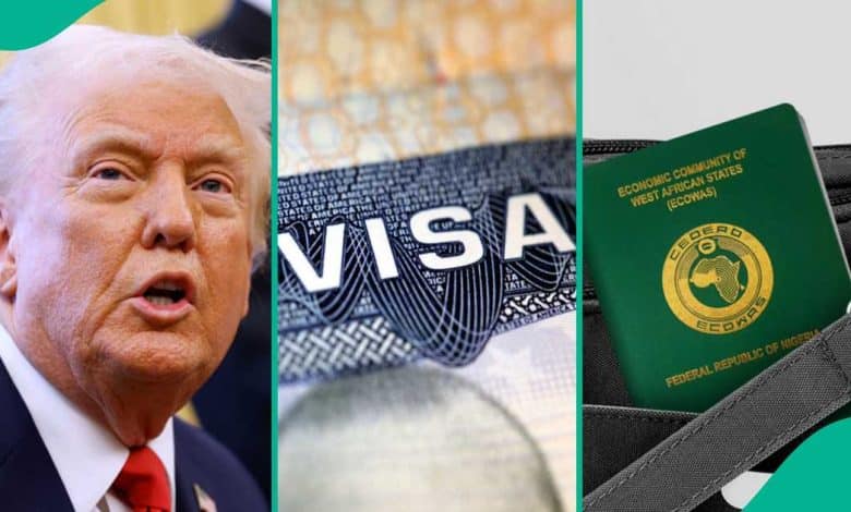 d9b45b8c55141a99 780x470 1