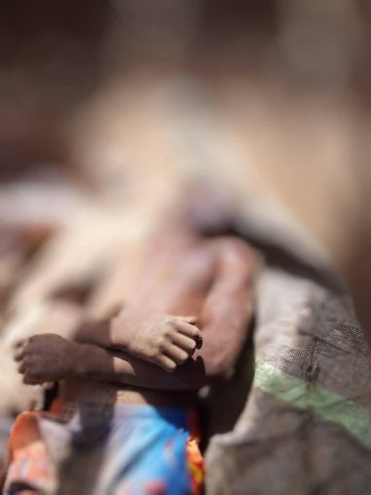 Terrorists Launch Fresh Attack in Niger State, Kill Four Residents, Set Houses Ablaze