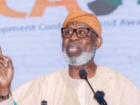 Minister of Solid Minerals Development, Dele Alake