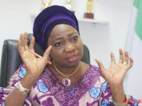 Nigerians in Diaspora Commission (NiDCOM Boss