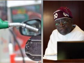Tinubu and petrol