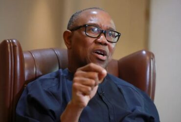 Donu Kogbara Lauds Peter Obi