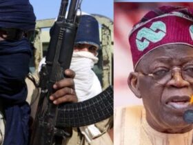 Bola Tinubu and Terrorists